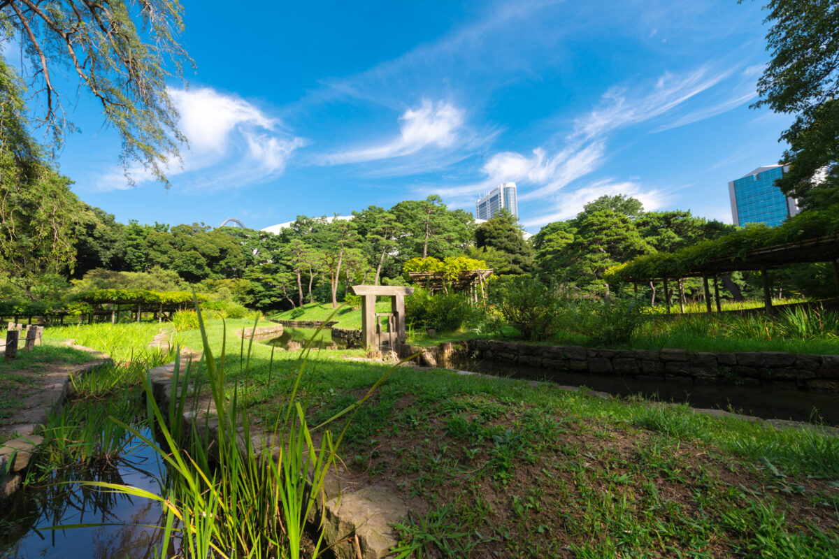 Koishikawa Korakuen Pond