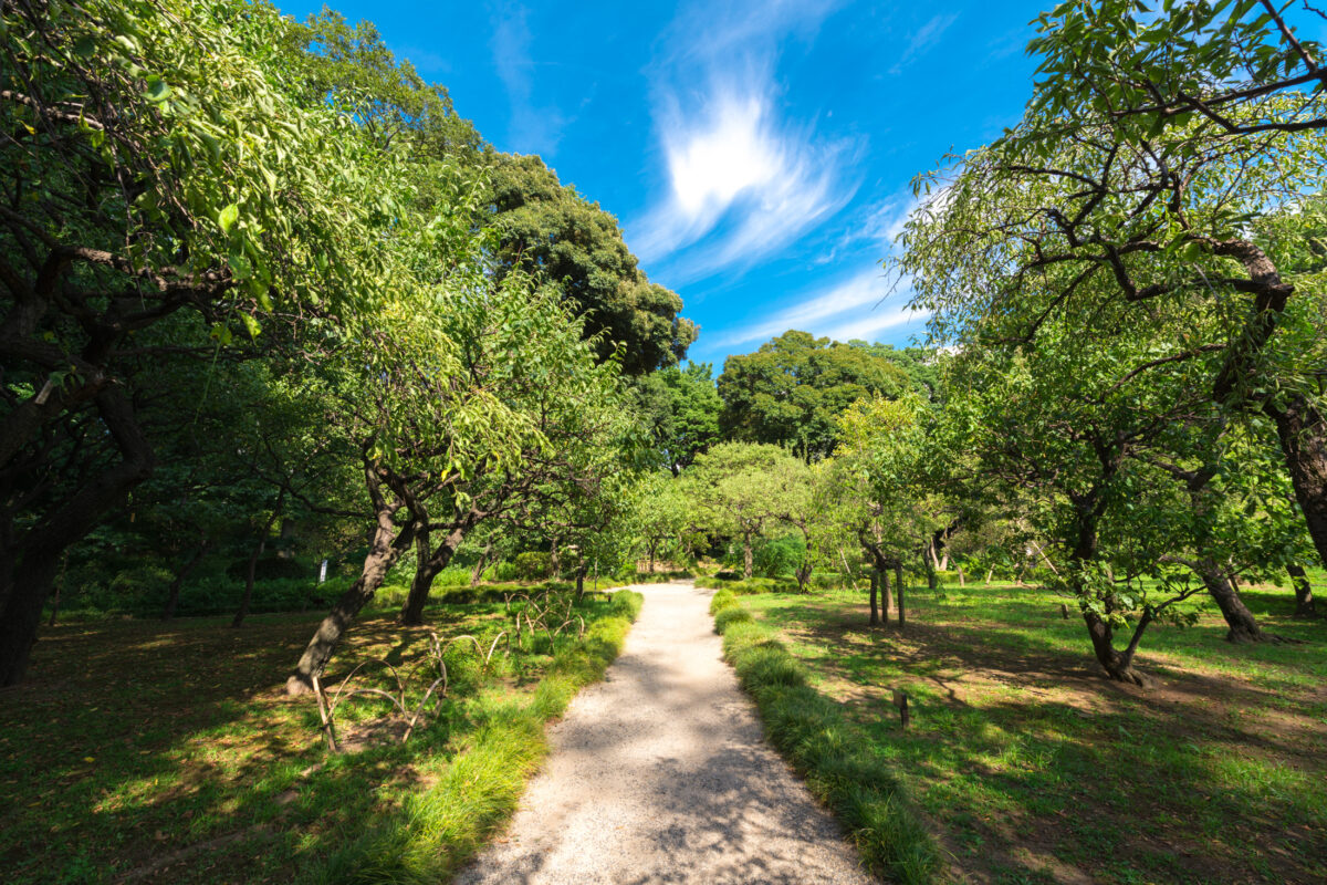 Koishikawa Korakuen Path