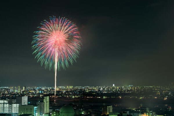 Dazzling city skyline fireworks show with vibrant bursts of pink, green, and blue.