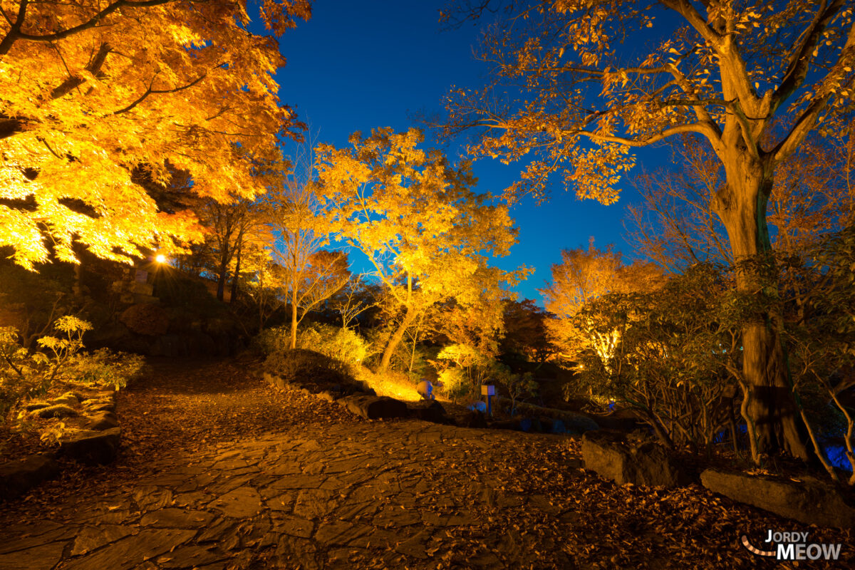 Blue Orange Autumn