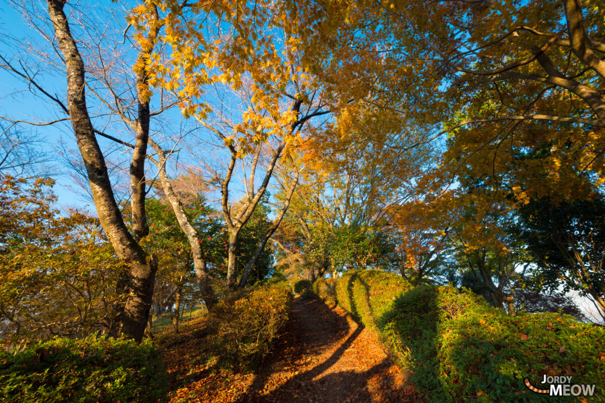 Toward Sakurayama Top