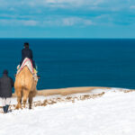 Explore the Golden Sands of Tottori: A Coastal Oasis of Tranquility.