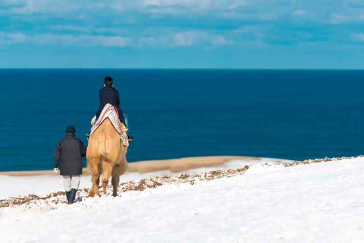 Explore the Golden Sands of Tottori: A Coastal Oasis of Tranquility.