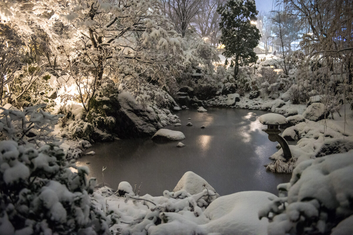 Snowy Roppongi Pond