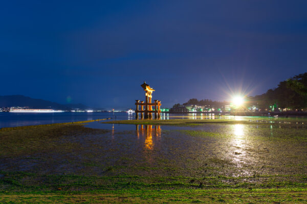 Serene Miyajima Island with iconic floating torii gate illuminated at night.