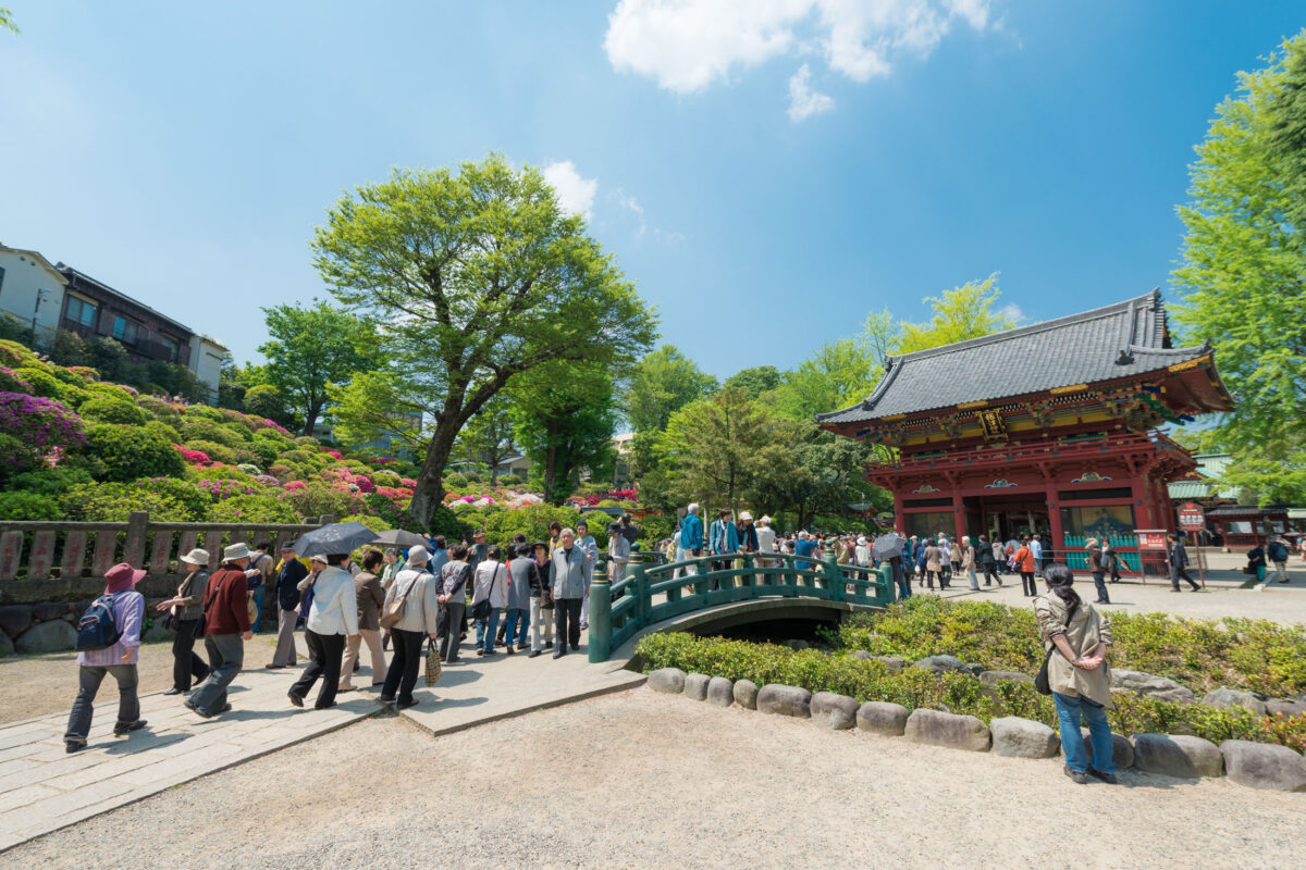 Nezu Shrine.