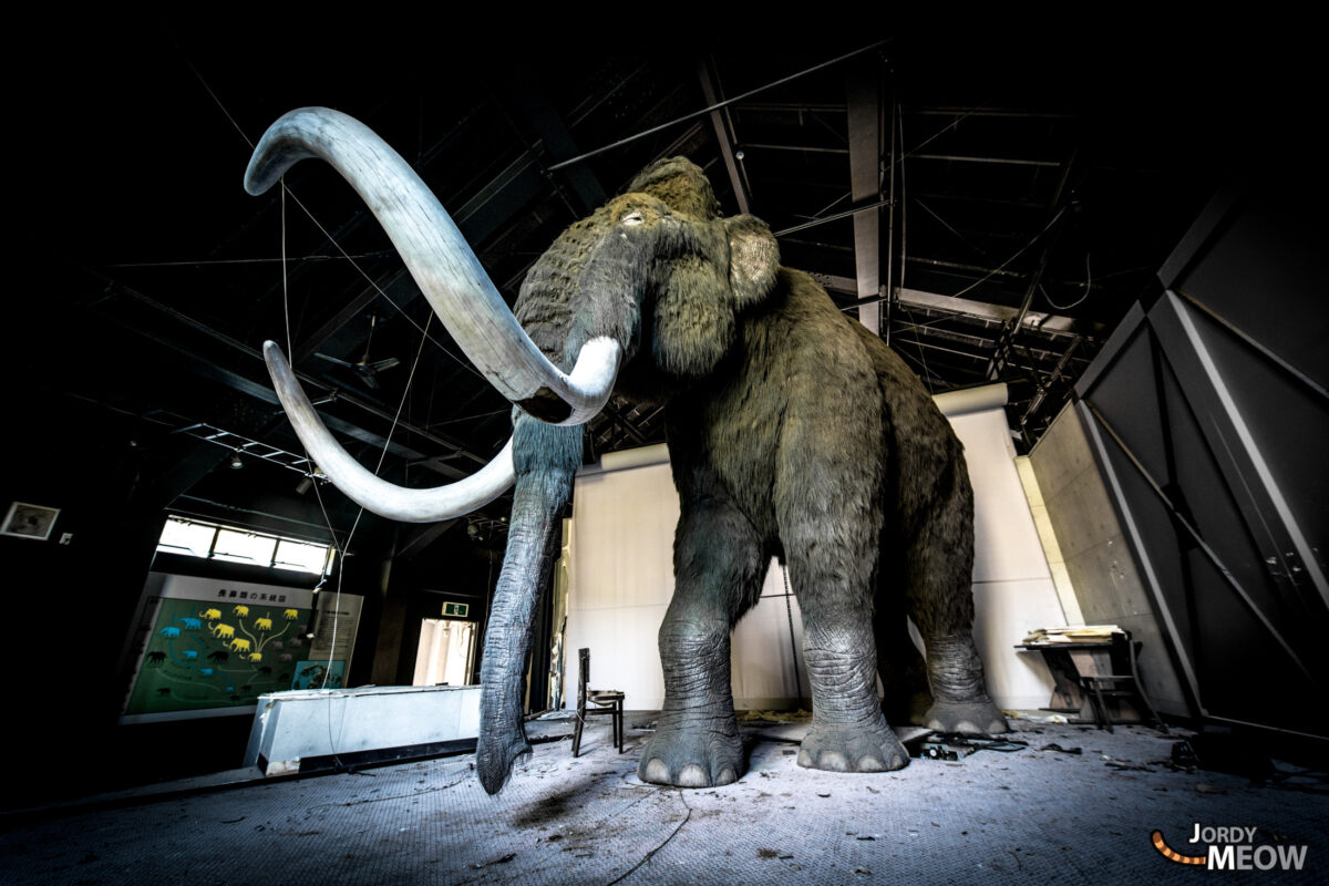 Abandoned Mammoth