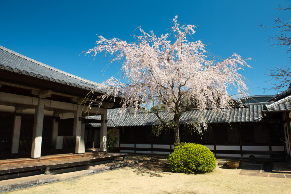 Yanaka.