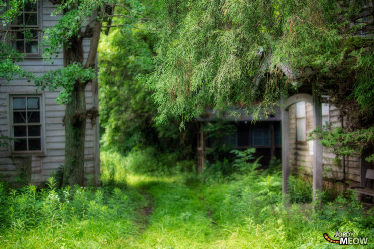 Decaying Japanese Hospital in Kanto: Urban Exploration Relic Amidst Natures Reclaiming.