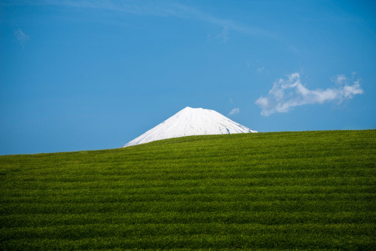 chubu, fields, japan, japanese, mount fuji, natural, nature, shizuoka, spring, yamanashi