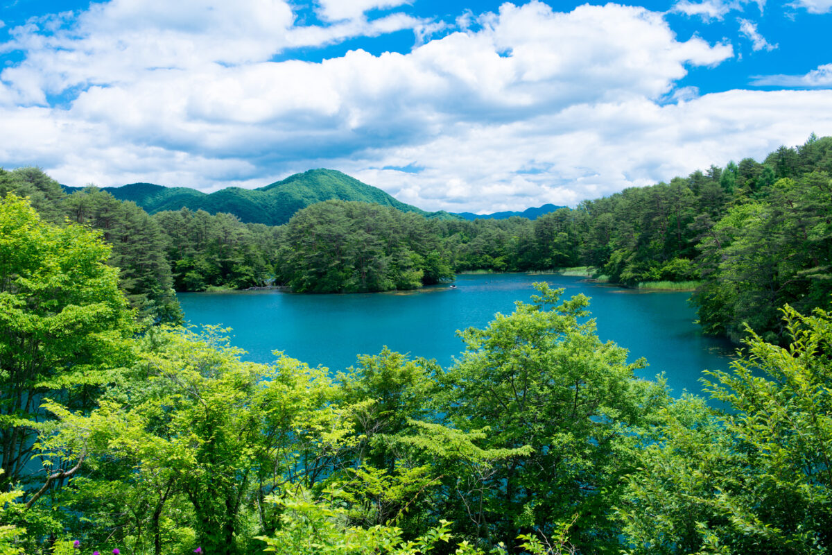 fukushima, japan, japanese, tohoku