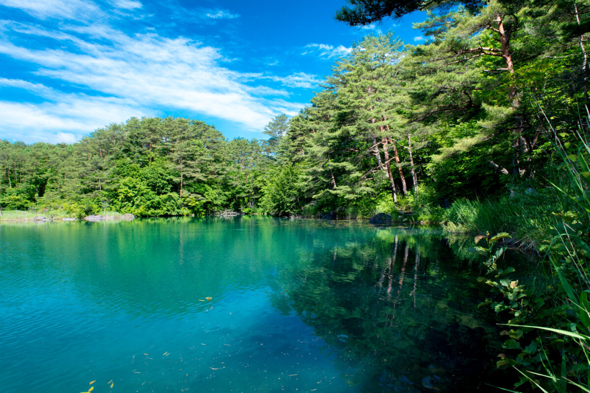 fukushima, japan, japanese, tohoku