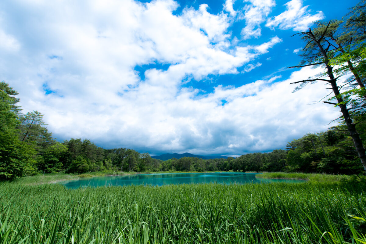 fukushima, japan, japanese, tohoku