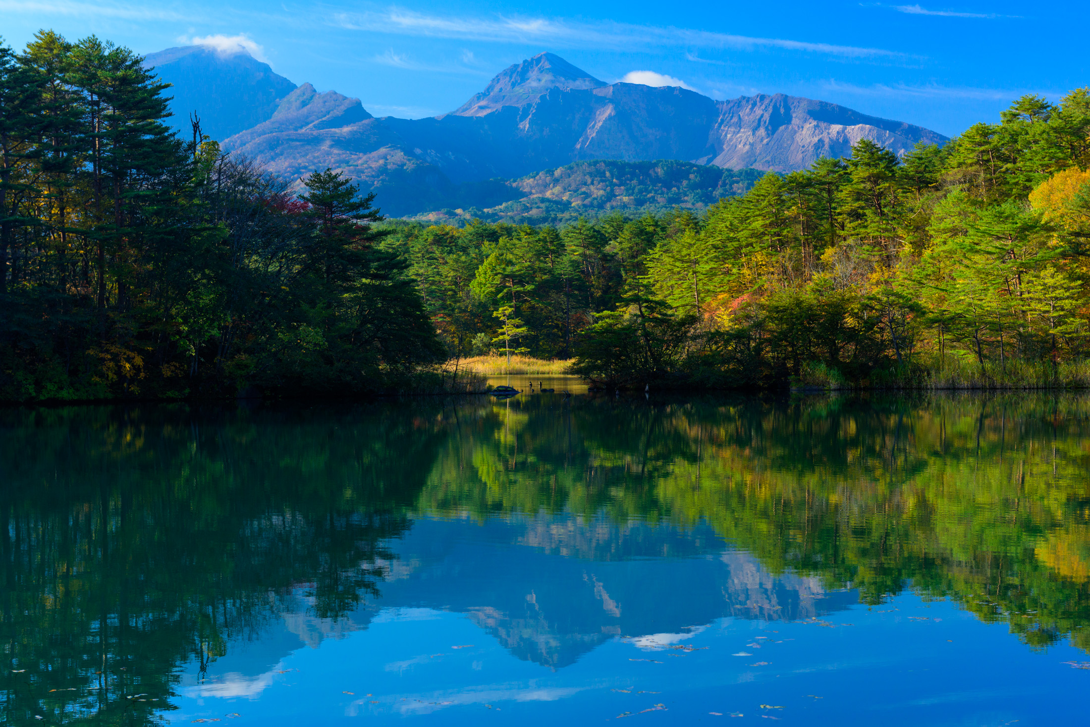 Serene Goshikinuma Lake in Japan surrounded by lush forests and vibrant autumnal foliage.