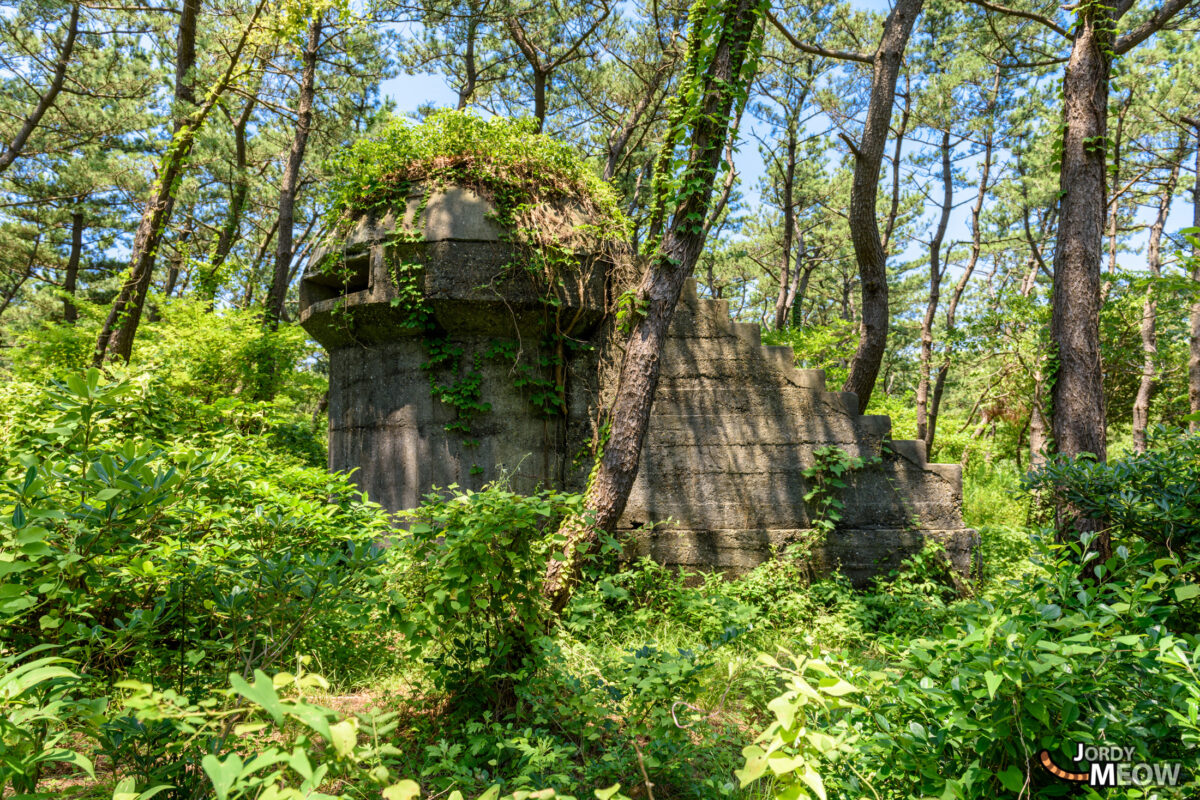 abandoned, chiba, haikyo, japan, japanese, kanto, ruin, urban exploration, urbex