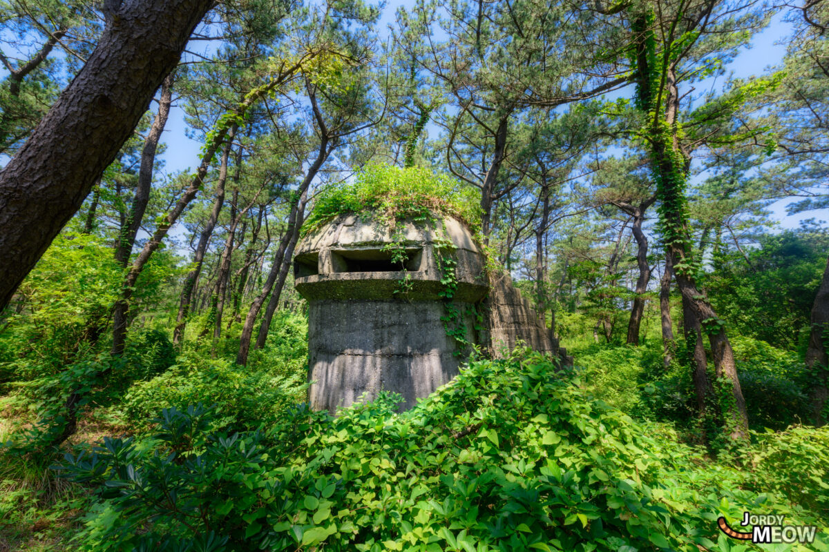 abandoned, chiba, haikyo, japan, japanese, kanto, ruin, urban exploration, urbex