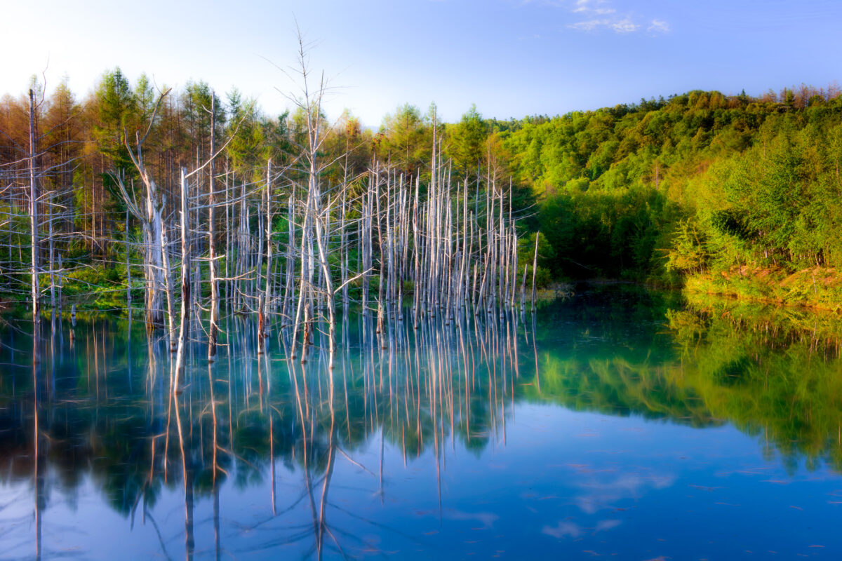 Aoike: The Blue Pond