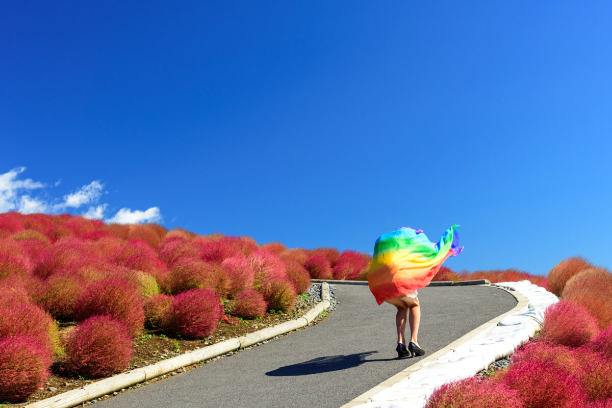 autumn, ibaraki, japan, japanese, kanto, natural, nature