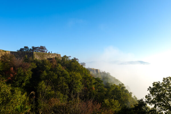 Majestic Takeda Castle: A Timeless Icon overlooking lush landscape in Asago, Japan.