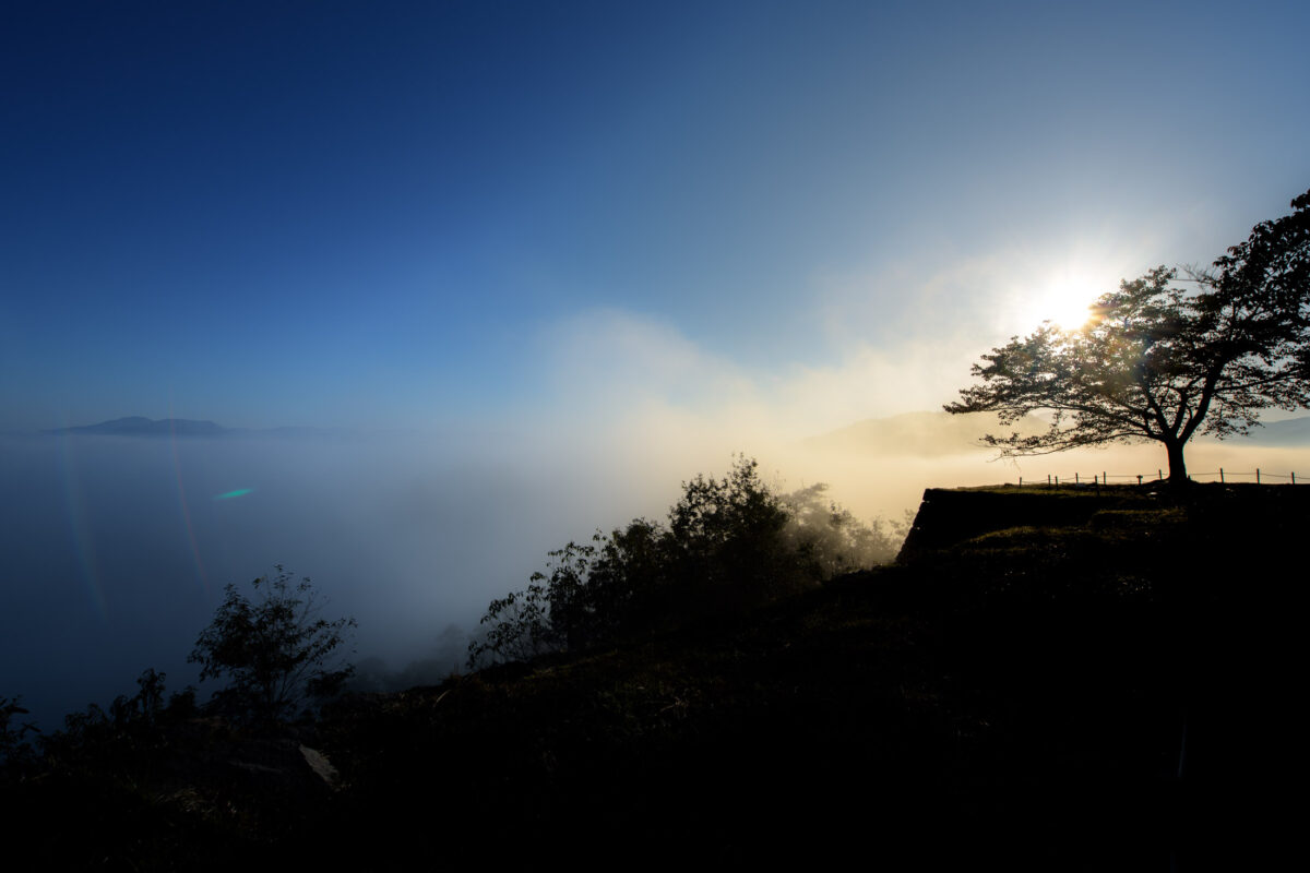 castle, hyogo, japan, japanese, kansai, natural, nature, sky, sunrise