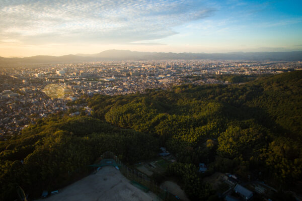 Stunning Fushimi Inari Shrine overlooking Kyoto with iconic torii gates and serene atmosphere.