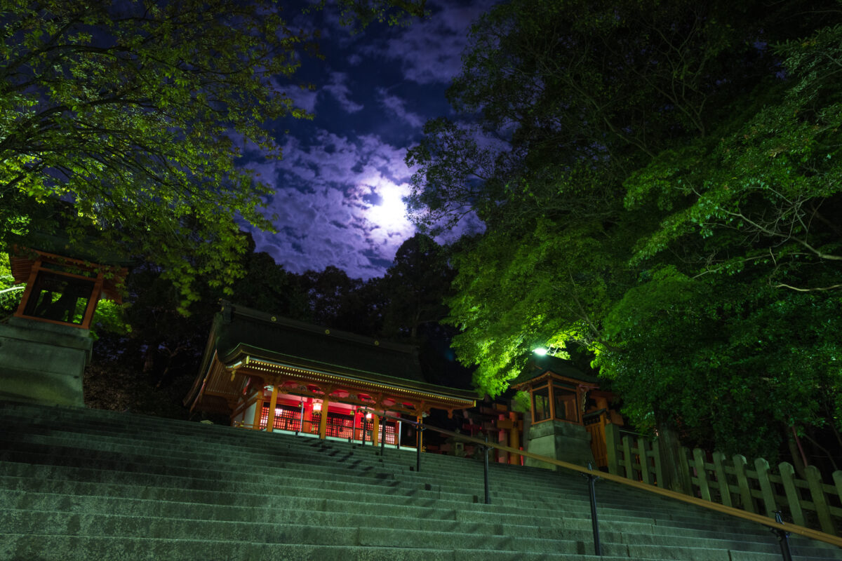 fushimi inari, hyogo, japan, japanese, kansai, kyoto, temple