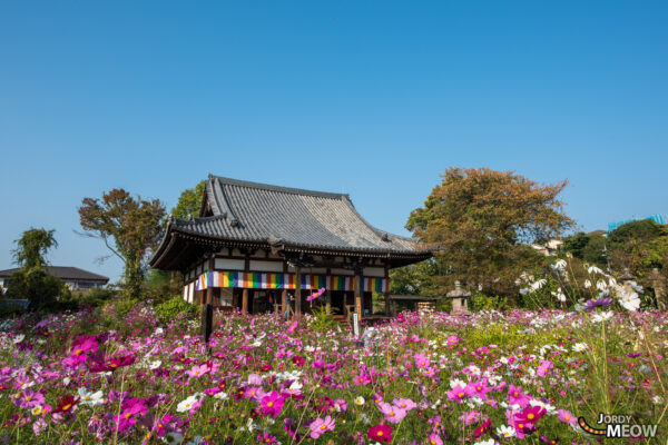 Hannya-ji Temple: Serene Japanese Sanctuary Amidst Natures Beauty