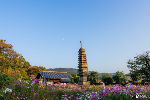 Peaceful Hannya-ji Temple: Naras Spiritual Haven Amid Natures Beauty