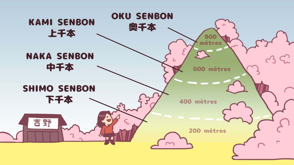 Yoshinoyama Map