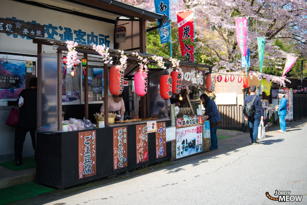 flower, japan, japanese, kansai, nara, natural, nature, sakura, spring