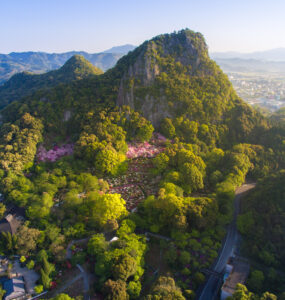 Tranquil Mifuneyama Park in Japan offers lush greenery, colorful flowers, and sweeping mountain views.