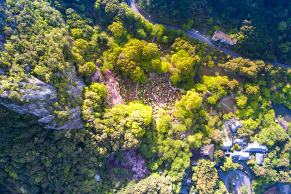 Tranquil Japanese landscape with lush foliage, rocky outcrop, and harmonious natural elements.