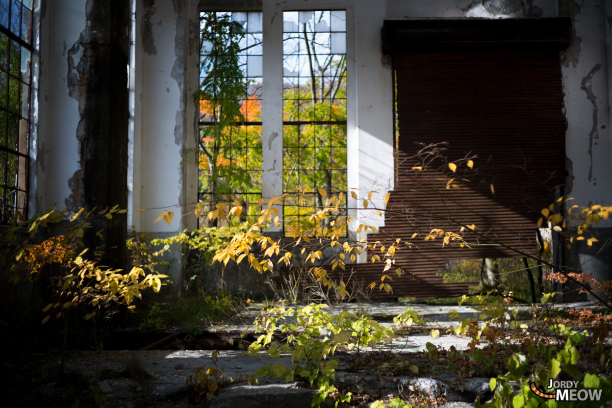 abandoned, asia, autumn, haikyo, iwate, japan, japanese, power-plant, ruin, season, seasonal, tohoku, urban exploration, urbex