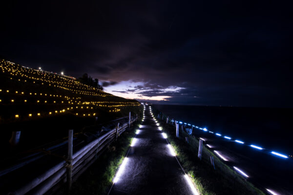 Enchanting Shiroyone Senmaida Rice Fields at Night.