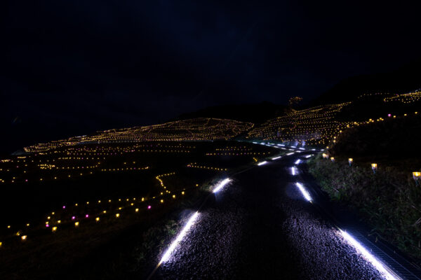 Enchanting illuminated rice terraces in Japan: a mesmerizing blend of tradition and modernity.