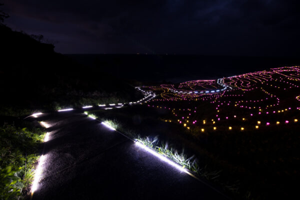 Enchanting Night Lights in Japan at Shiroyone Senmaida.