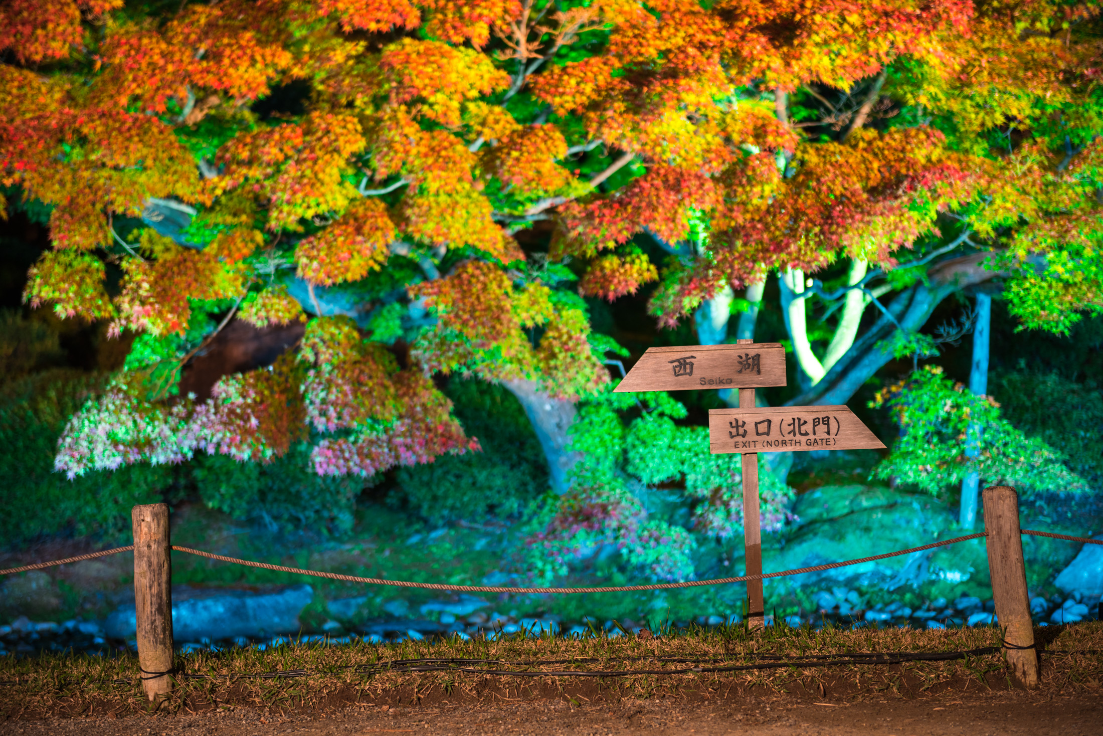 autumn, garden, japan, japanese, kagawa, shikoku