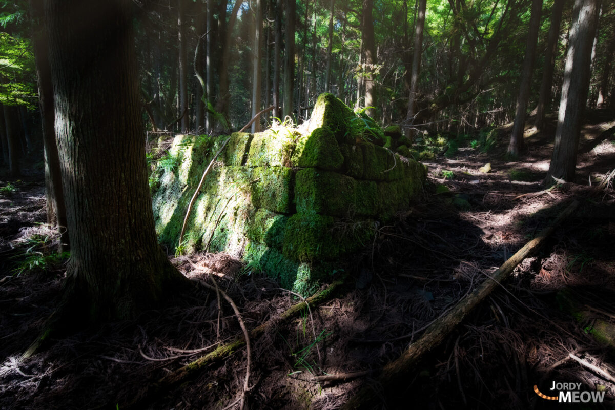 abandoned, asia, chiba, forest, haikyo, japan, japanese, kanto, natural, nature, people, ruin, urban exploration, urbex