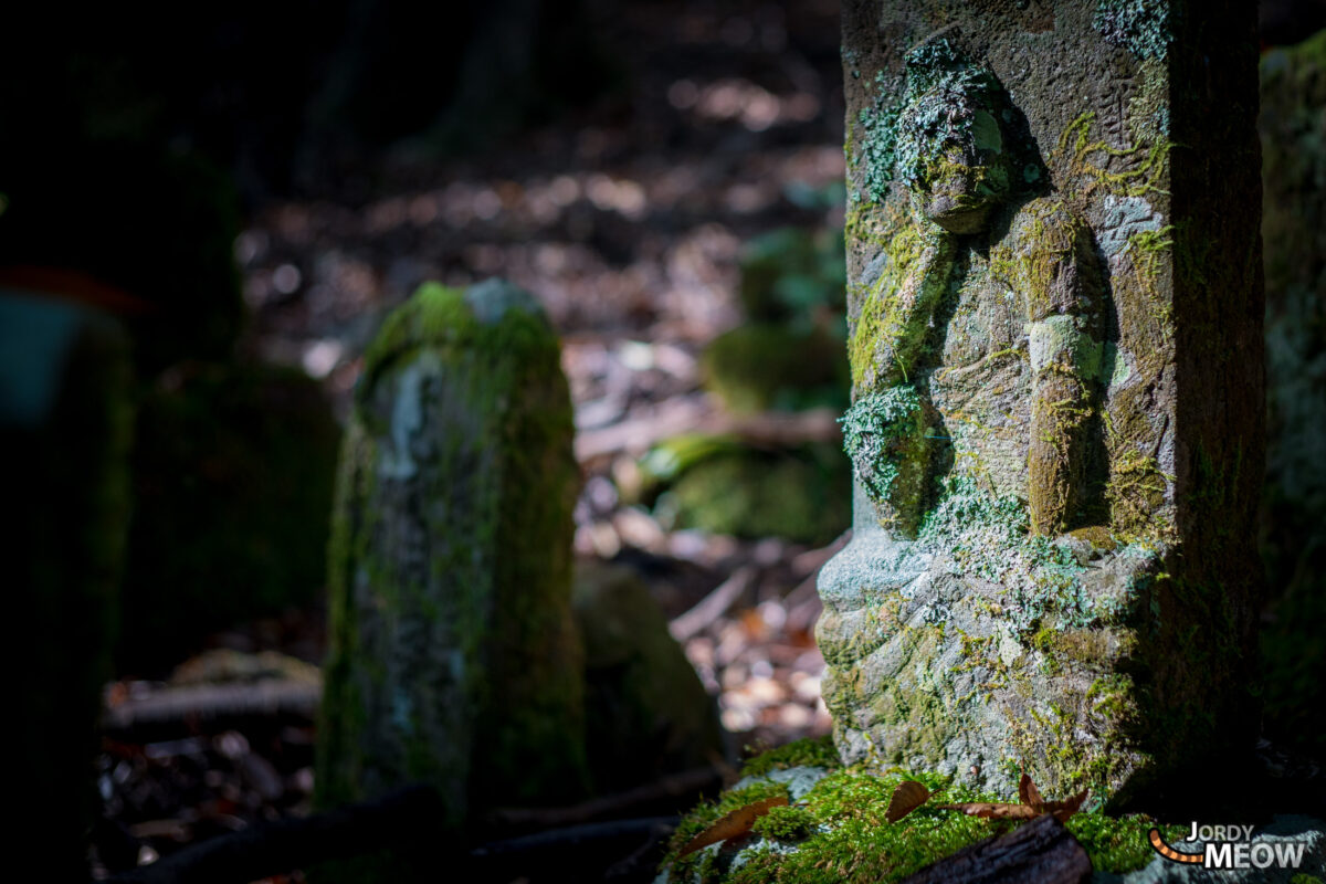 abandoned, asia, cemetery, chiba, forest, haikyo, japan, japanese, kanto, natural, nature, ruin, urban exploration, urbex