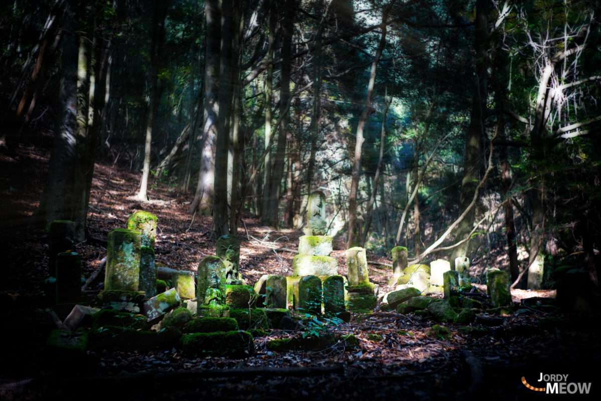 asia, cemetery, chiba, forest, japan, japanese, kanto, natural, nature, people