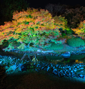 Enchanting autumn colors reflecting on tranquil pond at Ritsurin Garden in Japan.