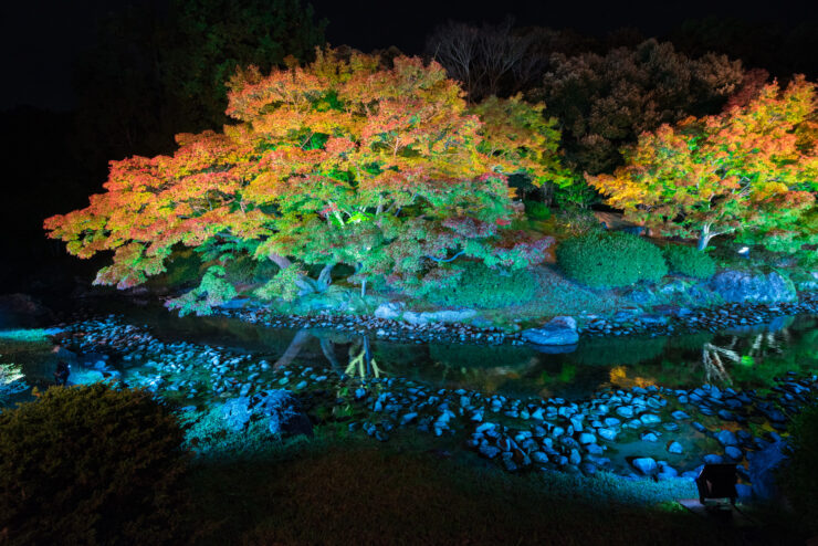 Enchanting autumn colors reflecting on tranquil pond at Ritsurin Garden in Japan.