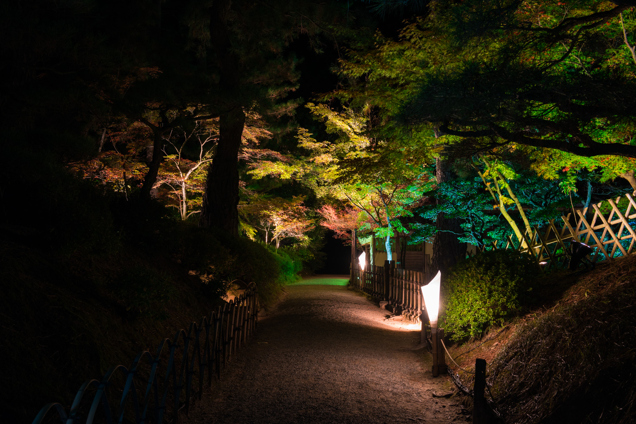 autumn, garden, japan, japanese, kagawa, shikoku