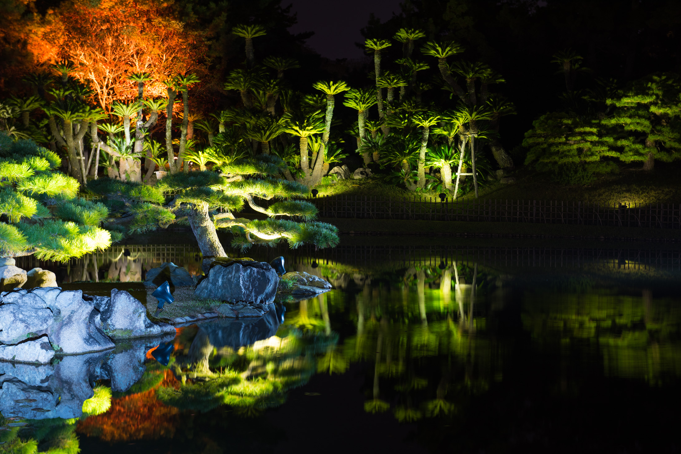 autumn, garden, japan, japanese, kagawa, shikoku