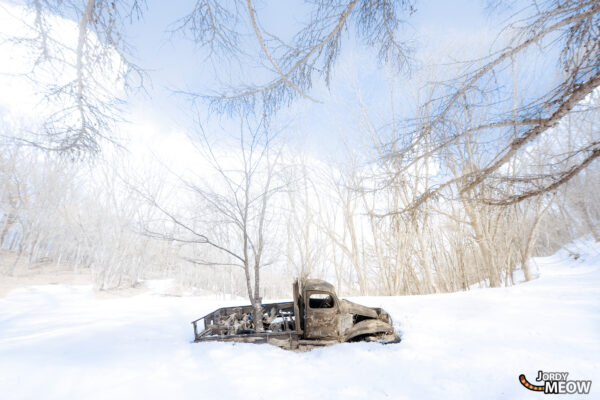 Forgotten Dodge in snowy forest exudes solitude and melancholy, abandoned car in nature.