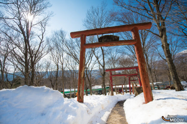 Snowy Zao Fox Village with Vibrant Torii Gate in Winter Wonderland.