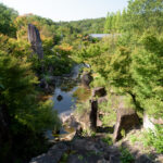 Magical Totoro House nestled in lush Aichi forest, inspired by iconic anime film.