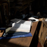 My Neighbor Totoro Replica House in Aichi, Japan - Studio Ghibli Fans Dream!