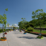 Step into the whimsical world of Totoro House in Nagoya, Japan.