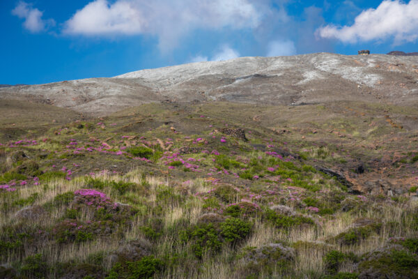 Breathtaking view of Mount Aso in Kumamoto, Japan, with snow-dusted slopes and vibrant vegetation.